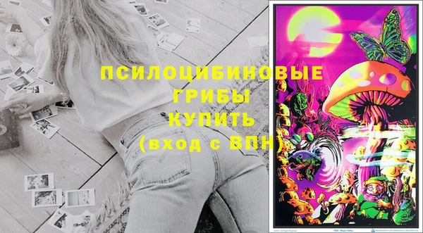 дмт Алексин