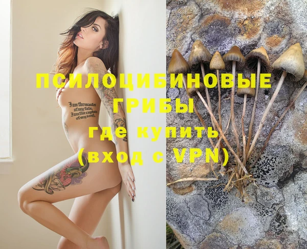 дмт Алексин