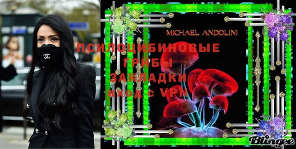 дмт Алексин